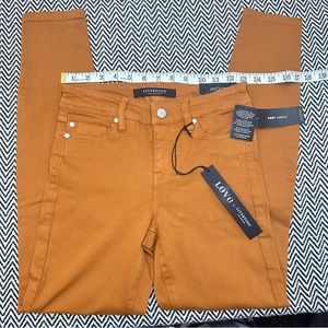 Liverpool | Liverpool Abby Ankle Skinny Zip Up Jean in Burnt Copper | Sz 0/25
